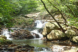 裏六甲山系 豊かな自然と良質な水